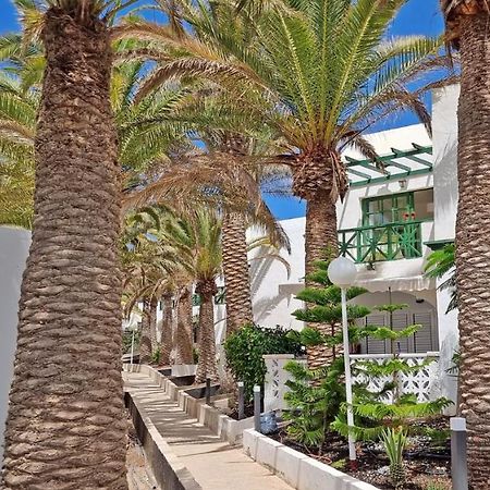 Ferienwohnung Palm Garden - Costa Calma - Pool - Glasfaserinternet Εξωτερικό φωτογραφία