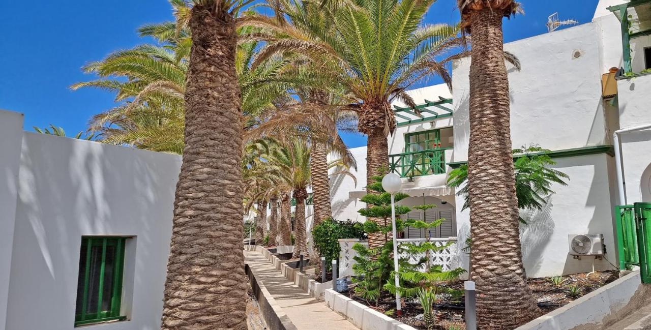 Ferienwohnung Palm Garden - Costa Calma - Pool - Glasfaserinternet Εξωτερικό φωτογραφία
