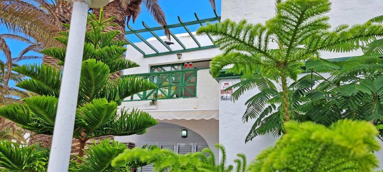 Ferienwohnung Palm Garden - Costa Calma - Pool - Glasfaserinternet Εξωτερικό φωτογραφία